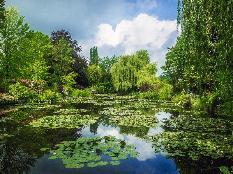 สวนที่บ้านของ Monet ที่ Giverny